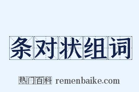 条对状组词是什么意思的图片